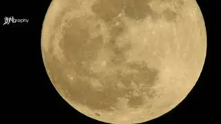 The full moon in HD. So up close that you can even see moon's craters.