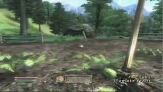 The Complete Oblivion Walkthrough - Chillrend Guide/Blue Glass Sword