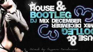 Sexy Number 3 - The Best House & Electro MEGAMIX of 2011!