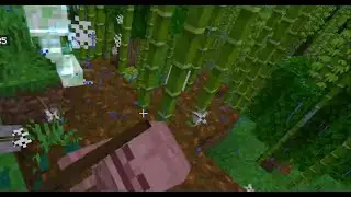 Getting a Skeleton Skull in Minecraft