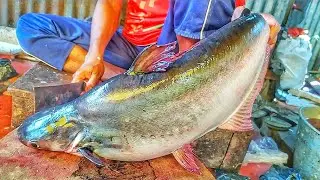 Incredible Big Pangas Fish Cutting Skills | Masterful Knife Skills Unveiled In Fish Market!