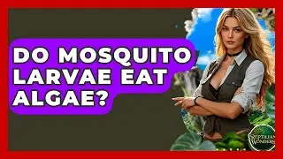Do Mosquito Larvae Eat Algae? - Reptilian Wonders