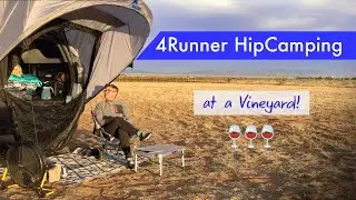 (Hip) Camping at a vineyard: wine, tapas dinner, and a Gunther update! / Pieiron tortilla espanola