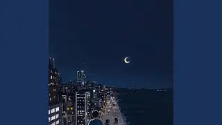 City Lights Stay On