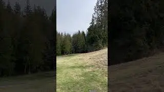 Birdie on 10 @ Kayak point red.