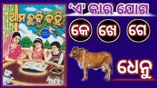 &lsquo; ଏ &rsquo; କାର ଯୋଗ ଶବ୍ଦ | E  Kara Joga Sabda |Barnabodha | Ama Chhabi Bahi | e kara odia | e kara matra