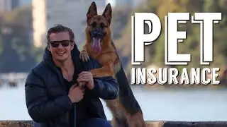 Pet Insurance