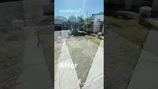 Before & After Garden Transformation | Gardener Co Perth