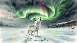 Hylende om natten | EDM |  Ren Energy