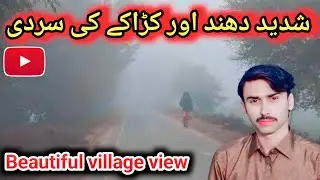 Extreme Fog and Freezing Cold ❄️|Beautiful Village View| شدید دھند  ||@souravjvlogs 