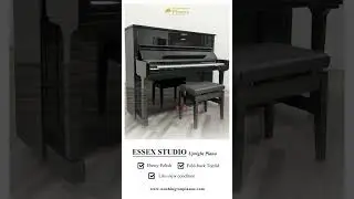 Essex Studio Upright Piano &ndash; Model EUP-123 | 48