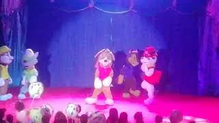 Viaje al circo parte 11: los paw patrol