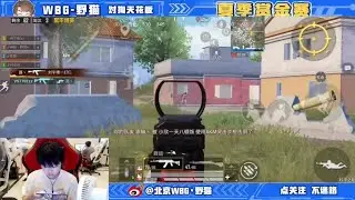 Wildcat Too OP In Classic - 16 Kill Game For Peace Gameplay