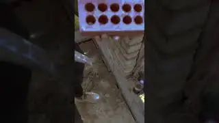 shining satisfying #satisfying #brick #asmr #cutting