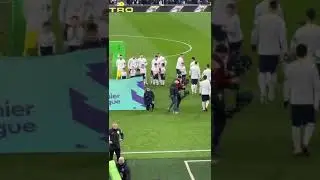 Michael Tottenham mascot experience