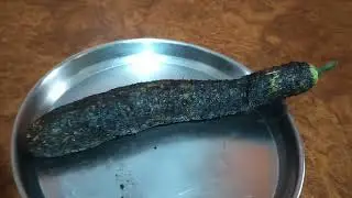 भुना लौकी का भर्ता/bhuna lauki ka bharta Recipe 😋/ Mitali Mom's Rasoi