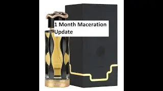 1 Month Maceration Update on Teriaq Intense EDP by Lattafa | Fragrances #276