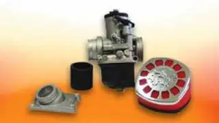 sx 50 mallosie tuning