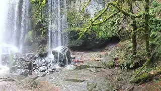 Lower to Middle LIttle Mashel River Falls hike - Eatonville, Washington