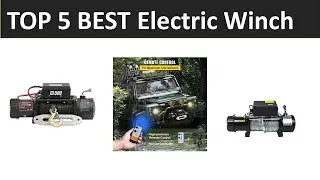 TOP 5 BEST Electric Winch 2025