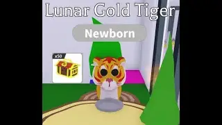 Opening 50 lunar tiger boxes! Was it worth it?