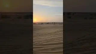 Sunset View||Sand Dunes||Jaisalmer||Desert||Sunset