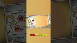 Why Cats Can't Eat Bread or Sugar!