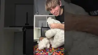 ШАЛЬНАЯ КАМЕРА С ПЛЮШЕВЫМ МЕДВЕЖОНКОМ!?