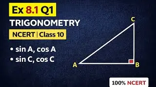 NCERT Class 10 Trigonometry | Exercise 8.1 Q1 Solution | Concept Logic Solver