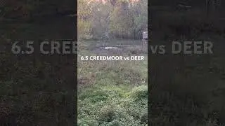 6.5 CREEDMOOR vs DEER