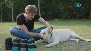 portable dog water bottle