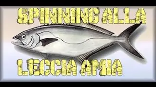 [SPIEGAZIONI TECNICHE DI PESCA]  SPINNING ALLA LECCIA AMIA