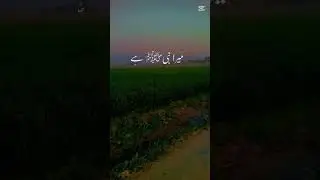 Islamic video || Naath Shareef || Mazhar Uddin TV||