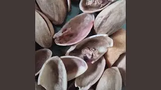 Der beste Kopf ist klares Kopf