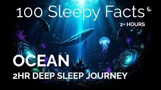 100 Sleepy Facts About the Ocean | Calm Narration for Deep Sleep (2 Hours)