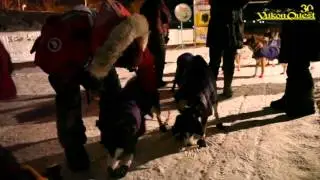 Yukon Quest 2013: Ed Hopkins arriving 11th at the finish line in Fairbanks