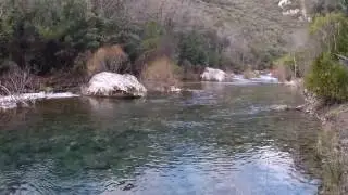 La Siagne un paradis pour pecheur janvier 2017