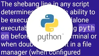 Should I put #! (shebang) in Python scripts, and what form should it take?