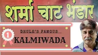 60 Year Old Shop | Sharma Chat | Kalmiwada , Pani Puri | Dhule City 😋