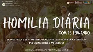 HOMILIA DI&Aacute;RIA - PE. FERNANDO