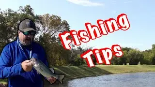 Fishing Tips Lure Presentation