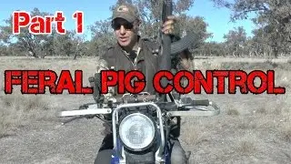 Contract Shooting Feral Pig control -Part 1