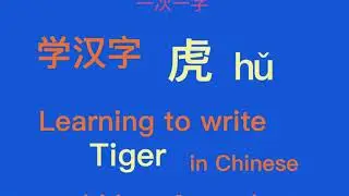 一日一字：Learn Tiger  in Chinese ( 虎 hǔ)  just within 3 minutes