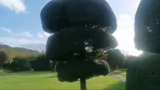England's Oldest Garden 17th century-  Levens Hall