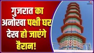 Gujarat का अनोखा Bird House, सात मंजिला भवन देख हो जाएंगे हैरान! |#TV9D