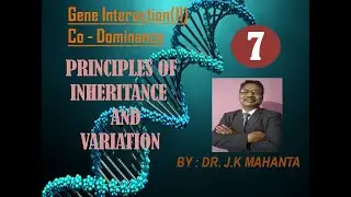 Gene Interaction - Co-dominance