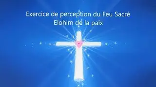 Exercice de perception de la vibration du Feu Sacré 💛 par l'Elohim de la Paix #1