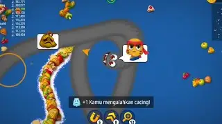 WORMS ZONE live sekarang!