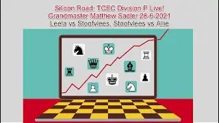 Silicon Road - TCEC Live! TCEC Division P - 28th June 2021: Leela, Stoofvlees and Allie!