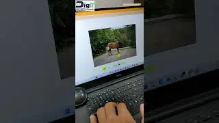 Clean up your images easily remove unwanted objects or text with just a few clicks!
